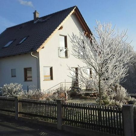 Appartment Am Traetzhof フルダ エクステリア 写真